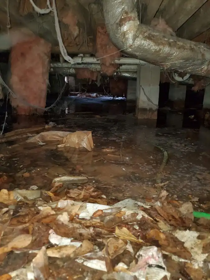 Crawl space flood assessment for Leak Detection & Repair in Hesperia